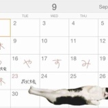 『9月の営業予定』の画像