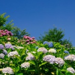 遠隔気功はAST名古屋西気功で　