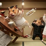 【日本共産党】母親がしんぶん赤旗を購読すると言った結果ｗｗｗｗｗｗｗｗｗｗ