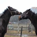 『遊び』の画像