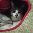 まだまだ寒いですね