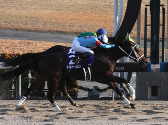 「残念ながらダブルハートボンドは明らかな出来落ち、追い切りも最悪だった」←これ