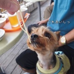 どらどらどら＋ぎん