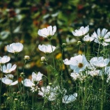 『まだ検査結果の連絡が来ない。気分転換に買い物~靴を買う』の画像