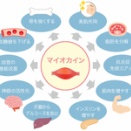 今年こそ筋肉の活性化！
