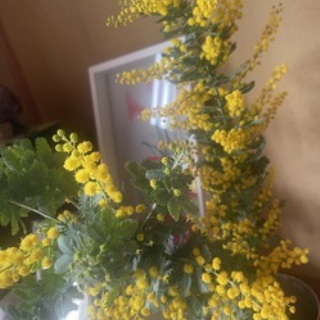 僧侶でアナウンサー川村妙慶の日替わり法話