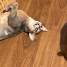 プチいざこざ兄弟