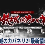 亮磁極回胴夫婦記