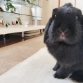 ー 神様へのリクエスト ー