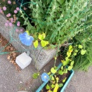 季節の変わり目はしんどめ