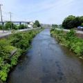 梅雨は何処へ!?  晴天ご近所ポタ