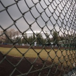 『「SNSが不正を暴いた」はお話にすぎない。』の画像