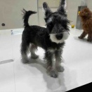 New Face🐶🐾＆オススメ商品🌸