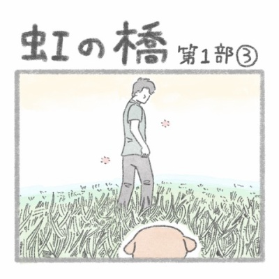 虹の橋 虹の橋〜第1部〜② : じゅんのいぬかわいいメモ