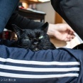 寂しくもある