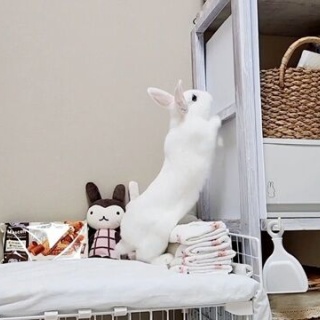 うのくらし