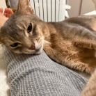 午前中をダラダラ過ごした日