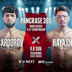 MMA The Orange