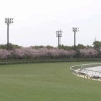 さておき競馬まとめ