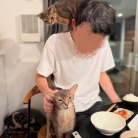 キムチ鍋の夜ごはん