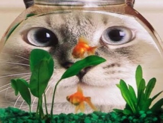 自営の義実家「これから給料は半分の２０万にする。払えない月もある」私「！？これからの生活はどうするの！？」主人「仕方ないだろ」もう離婚したいです。慰謝料はとれますか？