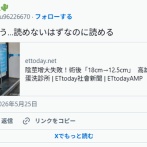 インポ改善のためチンプラント手術を受けるも失敗し18cm→12.5cm→9cmと縮小へ