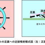 『私の光マイクロバブル入浴研究Ⅲ(100回記念)光マイクロバブル足浴（3）』の画像