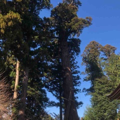 新年のご挨拶。