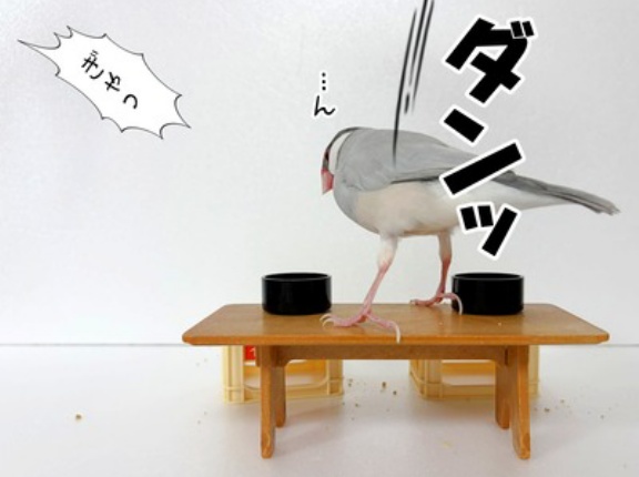 ぼくの日記 ｂｙセラ
