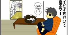 【本日の猫様】イビキをかいて爆睡する愛猫が…？