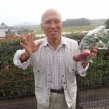 『山川農園』の画像