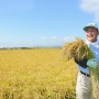 家畜や果物に続き今度は収穫したばかりの新米3.7tが盗まれる！一体誰が・・・
