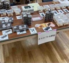 【感想】第３回SHOPPERS ＆ BREEDERS、ありがとうございました