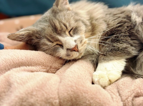 絶好調村尾とシャンプー問題。