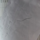 ホース交換後、5カ月で故障？ 三菱電機 掃除機 FUJIN 故障原因は何ぞや？ の巻