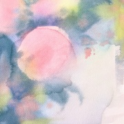 透明水彩画「昨日のこと」（八重の椿）どんなに力を抜いても