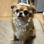 ヒロトの独り言