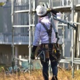 現場の上司「ネコ持ってきて、あとモンキーも」