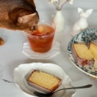 シート不要でパウンドケーキが焼けて楽ちんな「セラベイク」