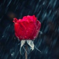 梅雨の時期になると肌荒れする