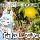 用事もあるし、雨模様だし、休日でも良いかな？