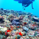 世界一おいしいクレープ