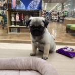 ワンラブ　カインズ広島LECT店のブログ