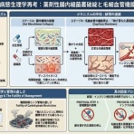 Wondershare Technology