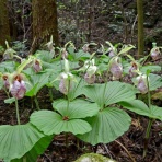 日本共産党　豊後高田市議会議員　大石忠昭の情熱ブログ