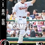 『島内 宏明、阿部 寿樹』の画像