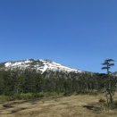 懸念派vs放念派