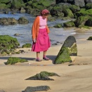 シーレイディ。。