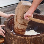 ながおか速報 -新潟県長岡市の地域情報サイト