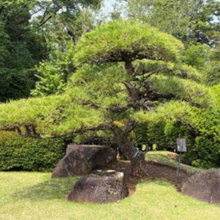 通勤ウォーカー